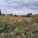COSERENI (IL) - SE VINDE TEREN 2000 MP LA SOS BUCURESTI -URZICENI