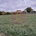 COSERENI (IL) - SE VINDE TEREN 2000 MP LA SOS BUCURESTI -URZICENI