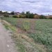 COSERENI (IL) - SE VINDE TEREN 2000 MP LA SOS BUCURESTI -URZICENI
